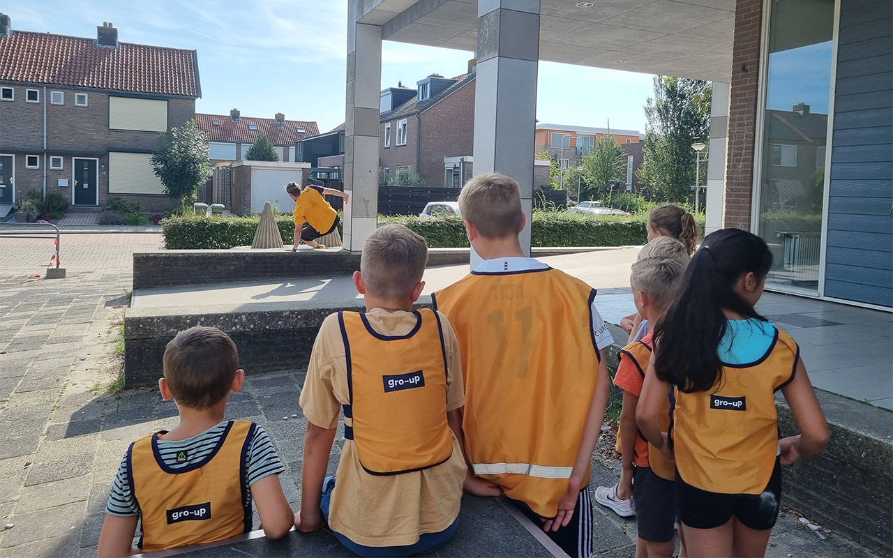 Wat Is De BSO