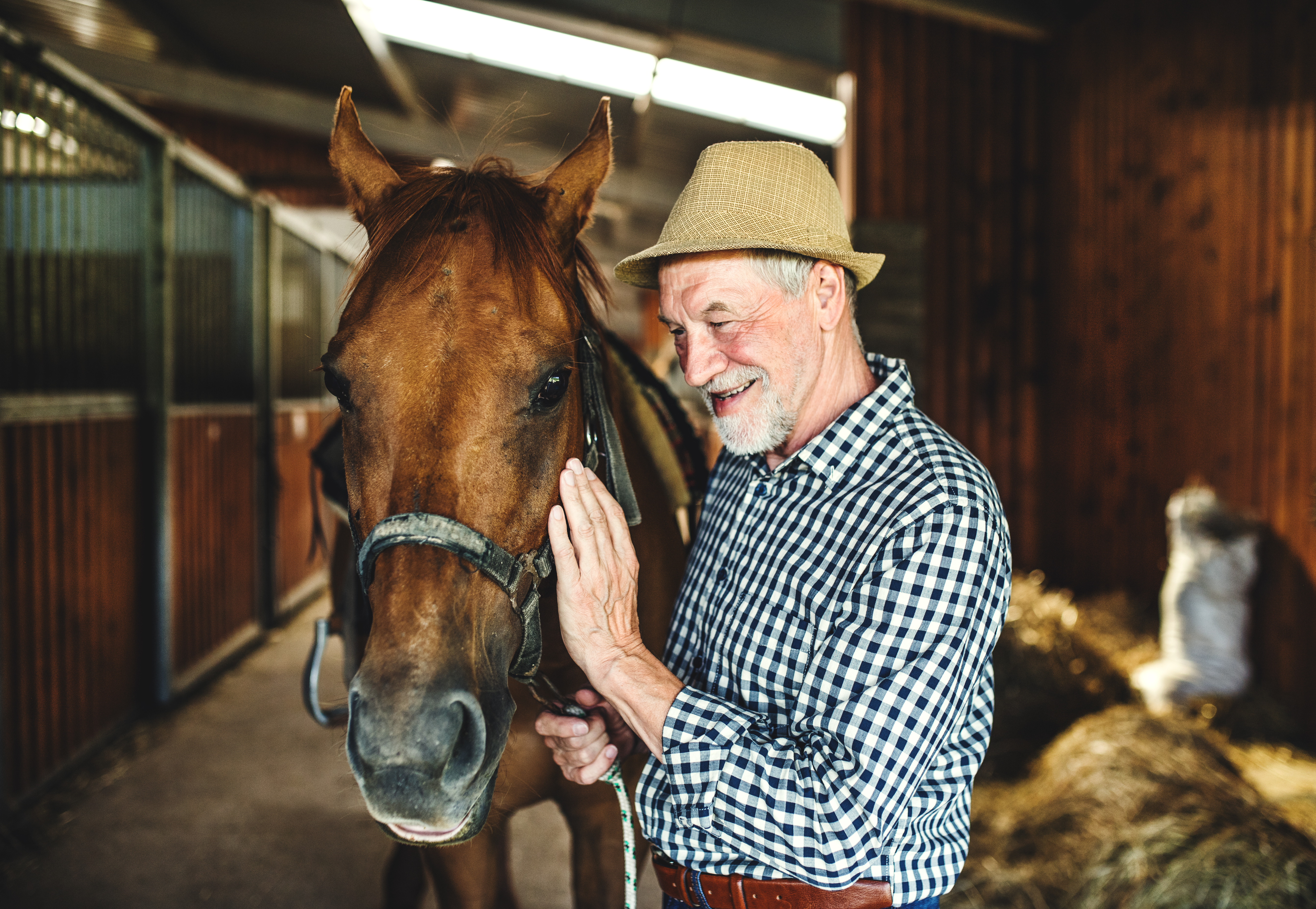 Een oudere man aait een paard die hij verzorgd als vrijwilligerswerk. De man doet mee aan DemenTalent van gro-up buurtwerk.