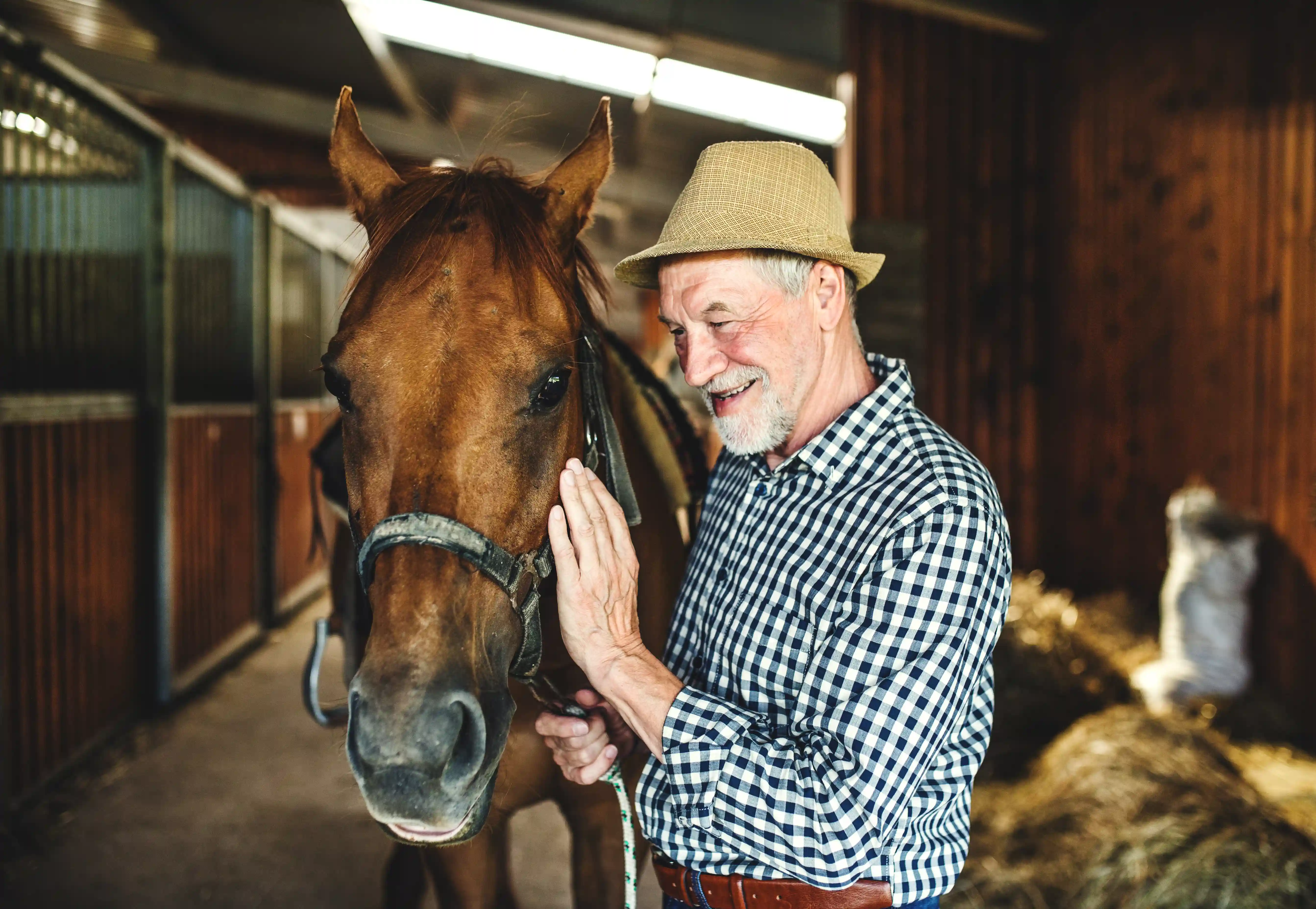 Een oudere man aait een paard die hij verzorgd als vrijwilligerswerk. De man doet mee aan DemenTalent van gro-up buurtwerk.