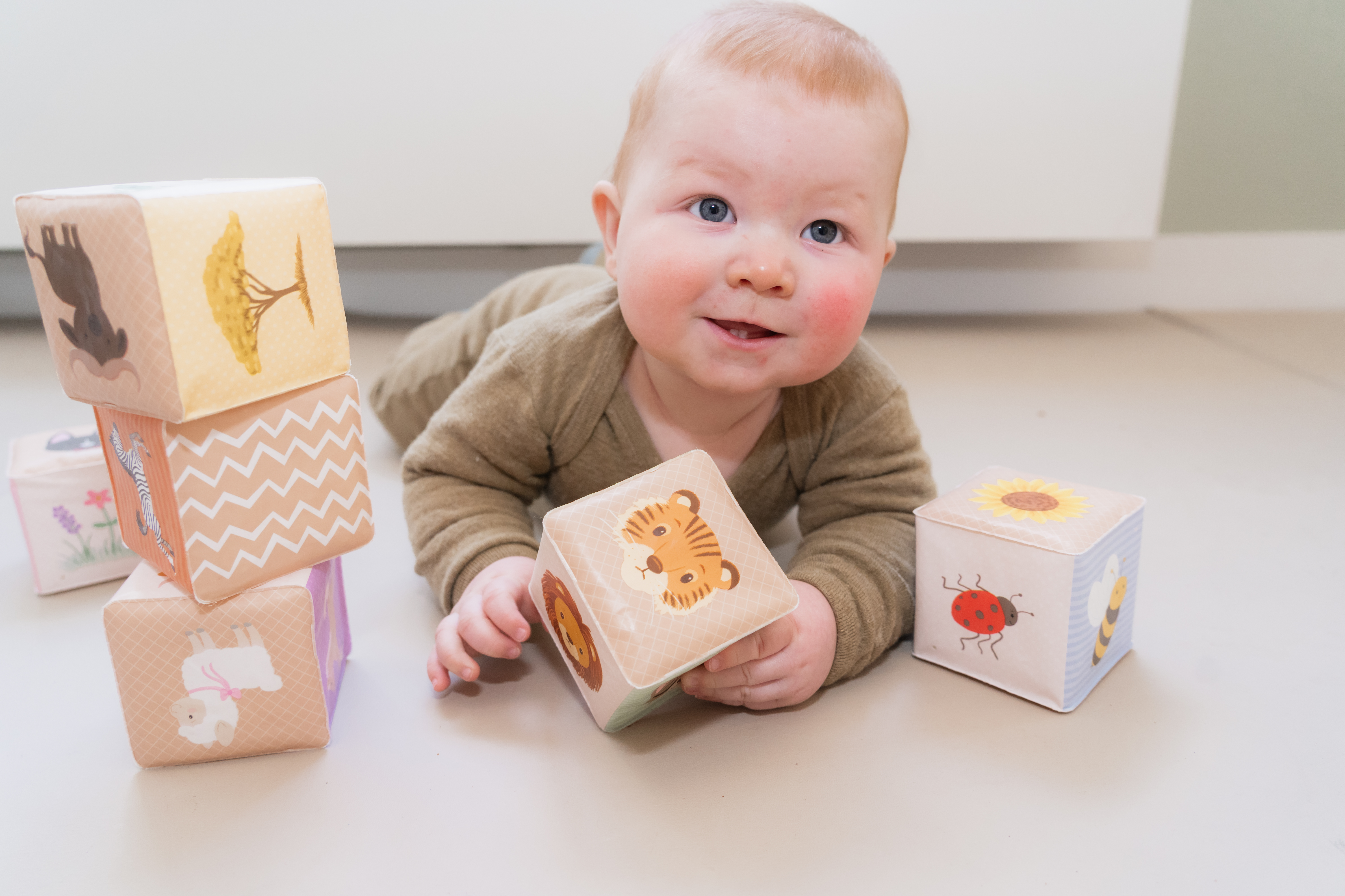 Kinderdagverblijf Het Kwakernest in Zoetermeer Seghwaert